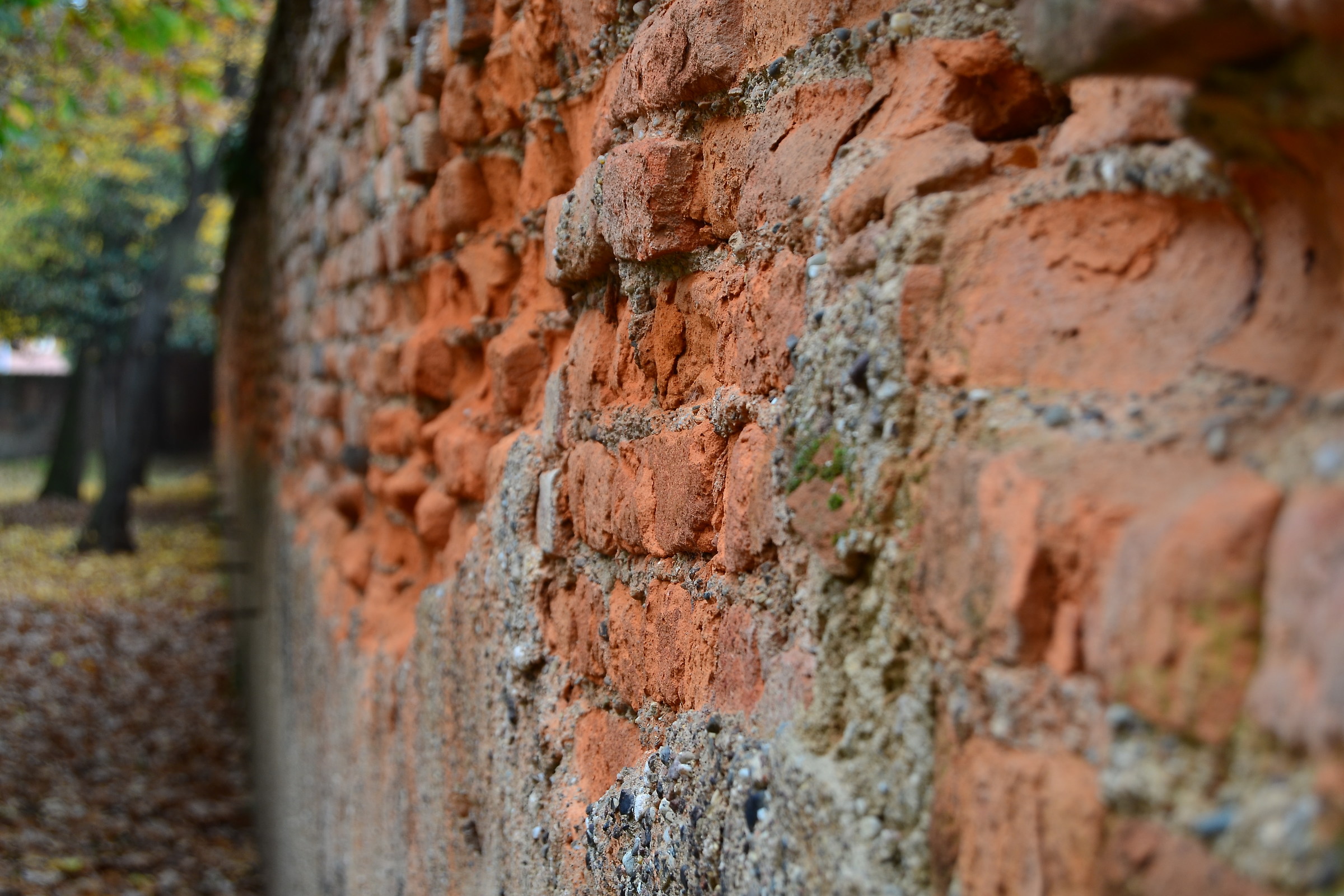 the wall...