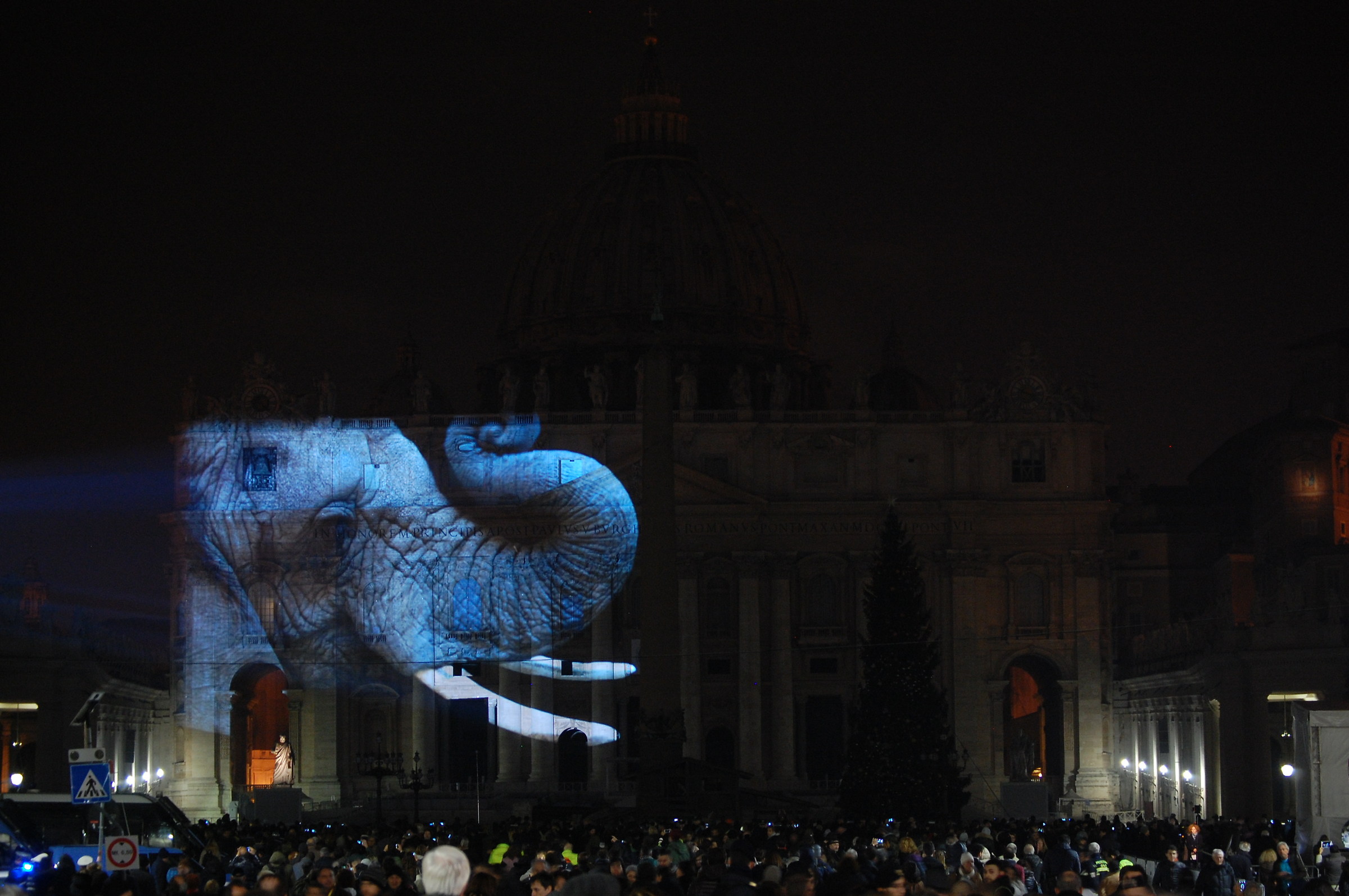 Fiat lux - St. Peter's Basilica 3 - Elephant...