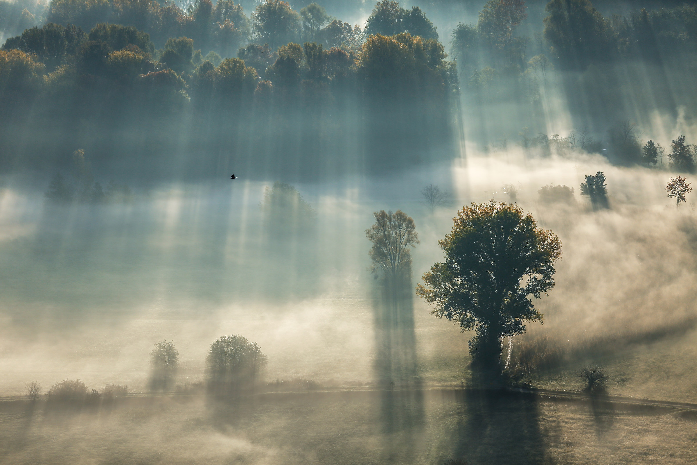 nel silenzio del mattino...