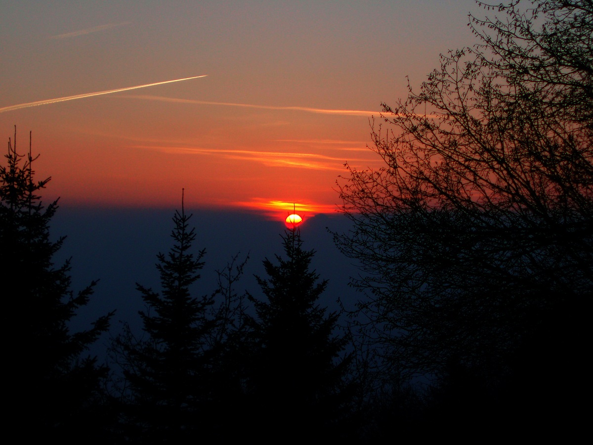 Tramonto in Valle di Gresta 3...