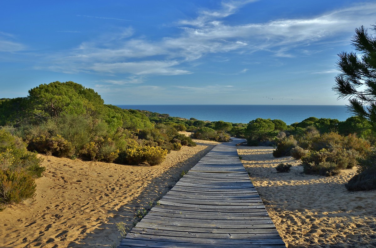 Medano of Asperillo, walk on the dunes...