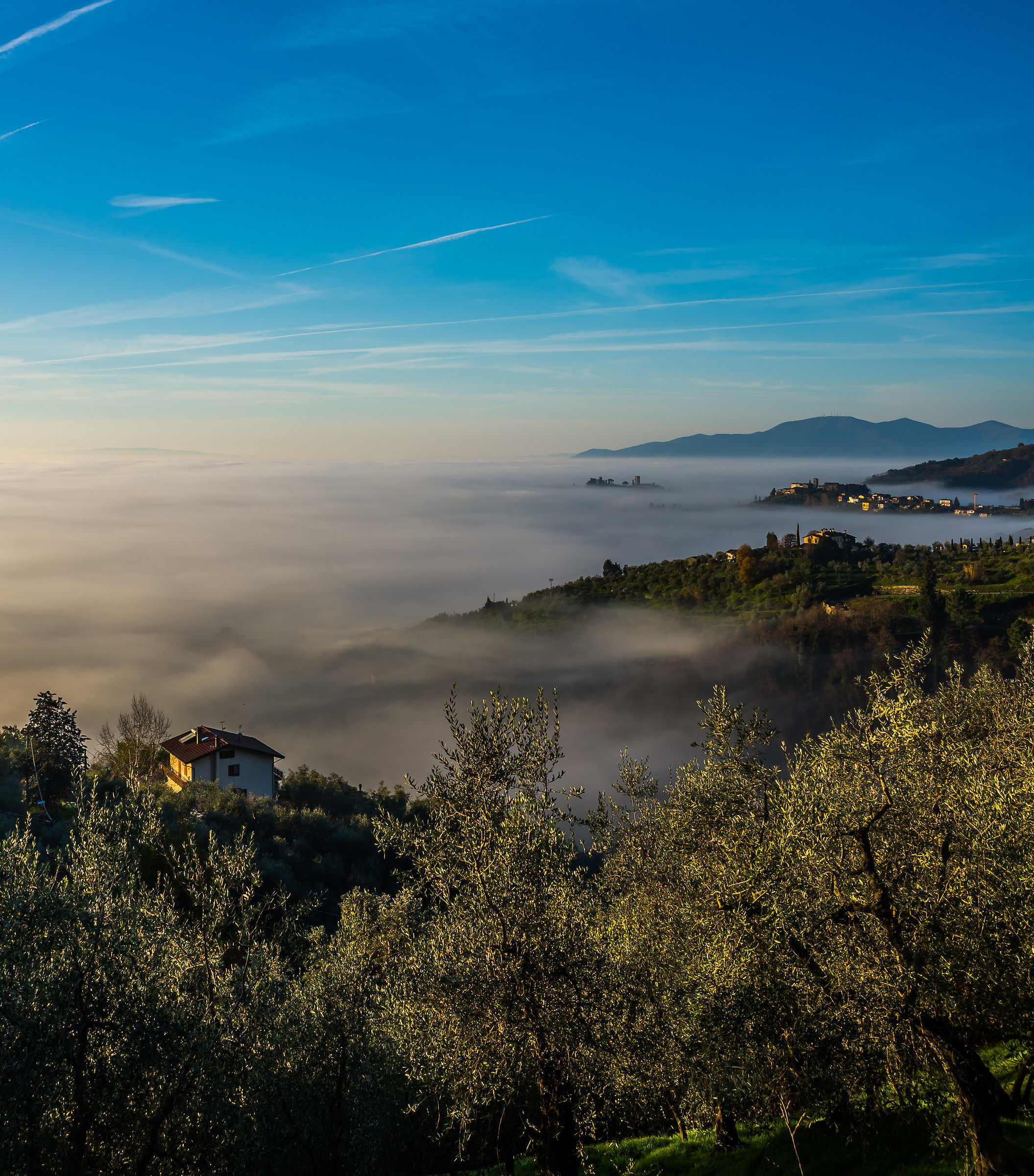 mist...