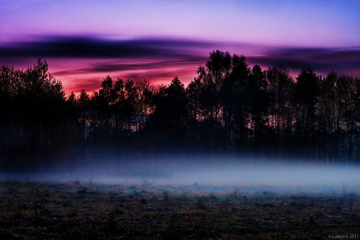 Evening fog...