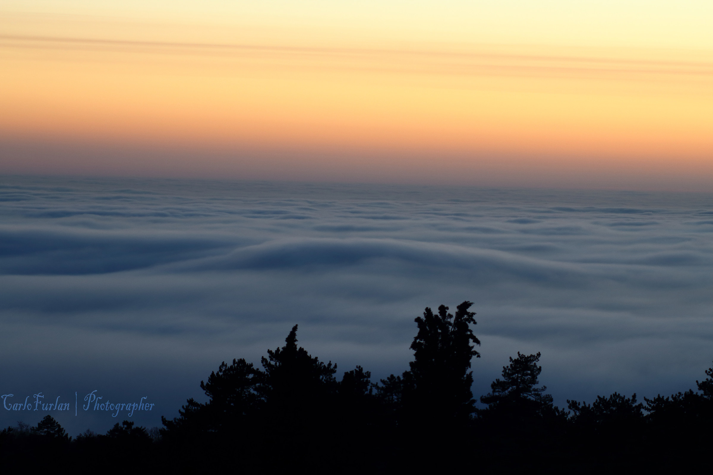 A Sea Of Fog...