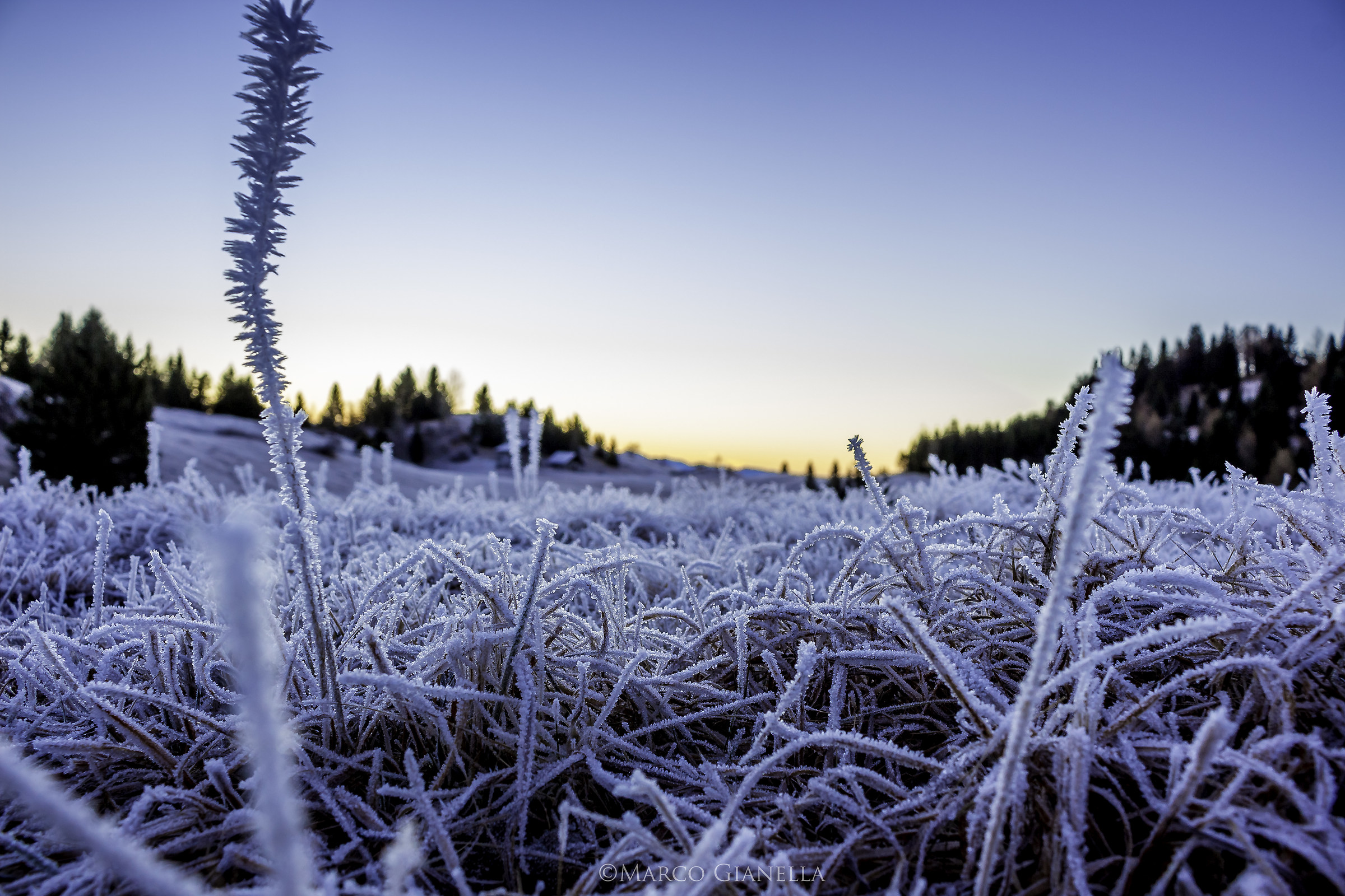 Frost in the morning, Val di Non, Trentino...