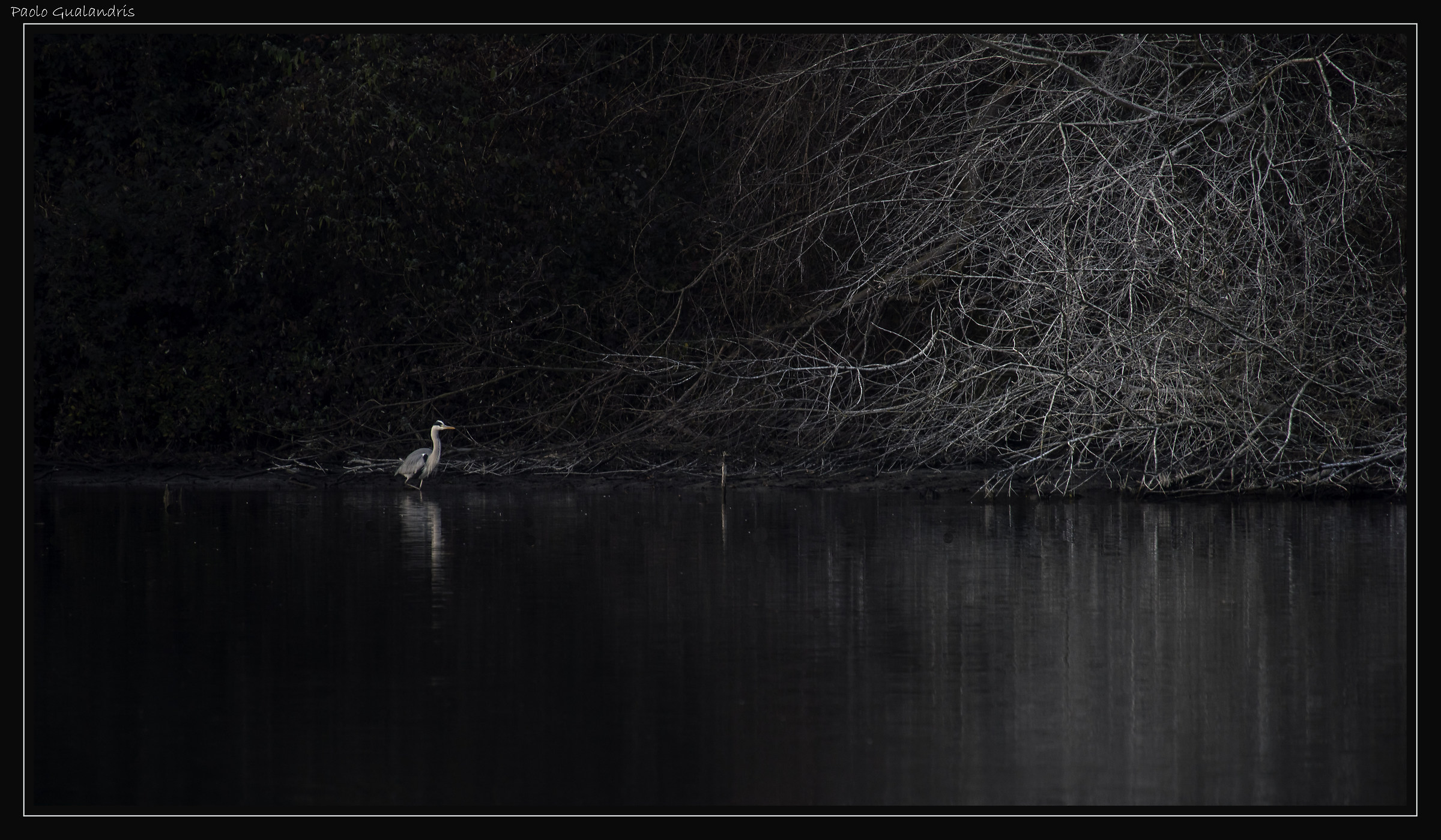 The hunter...
