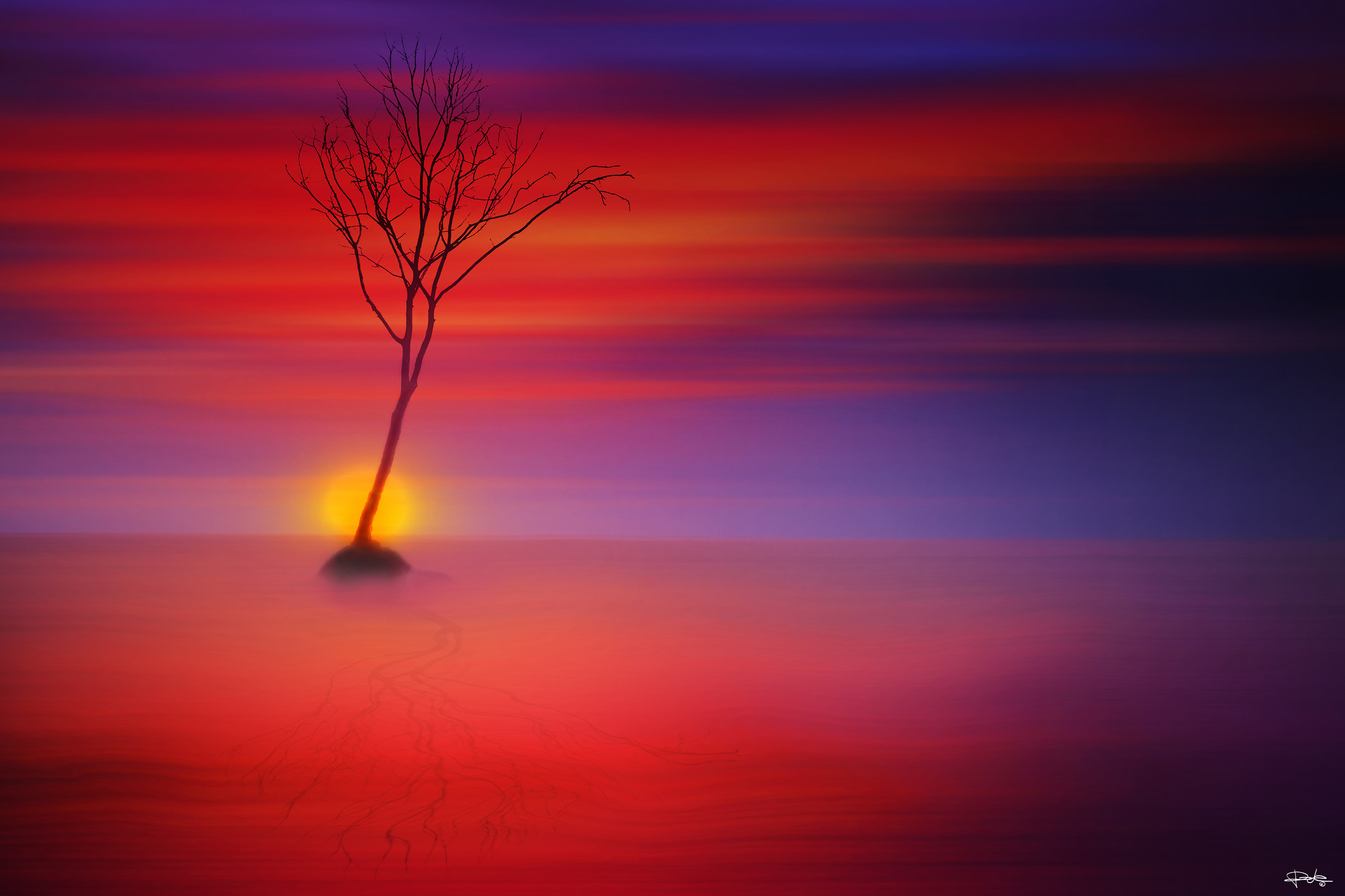 tree at sunset...