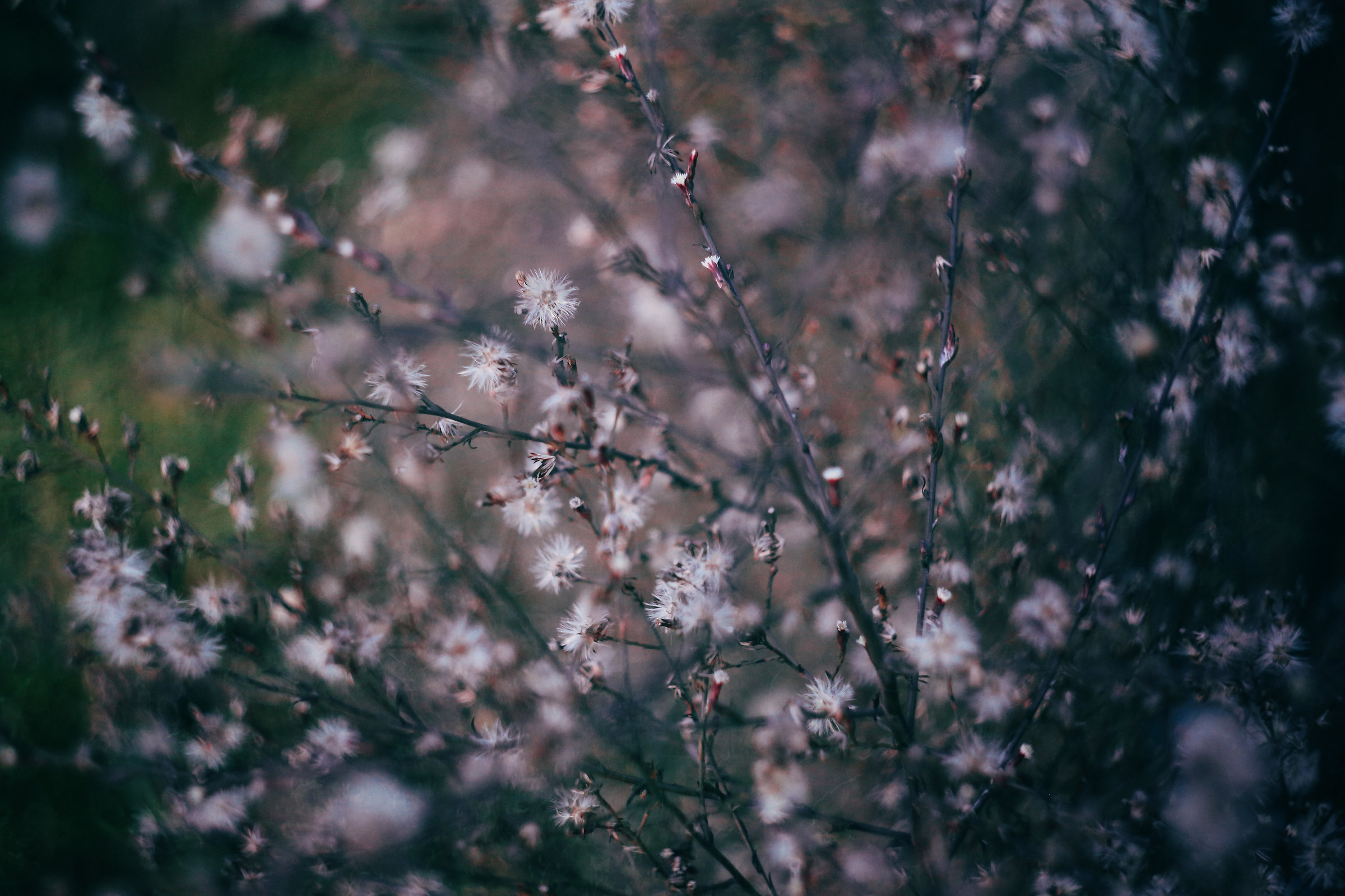 Untitled Photo...