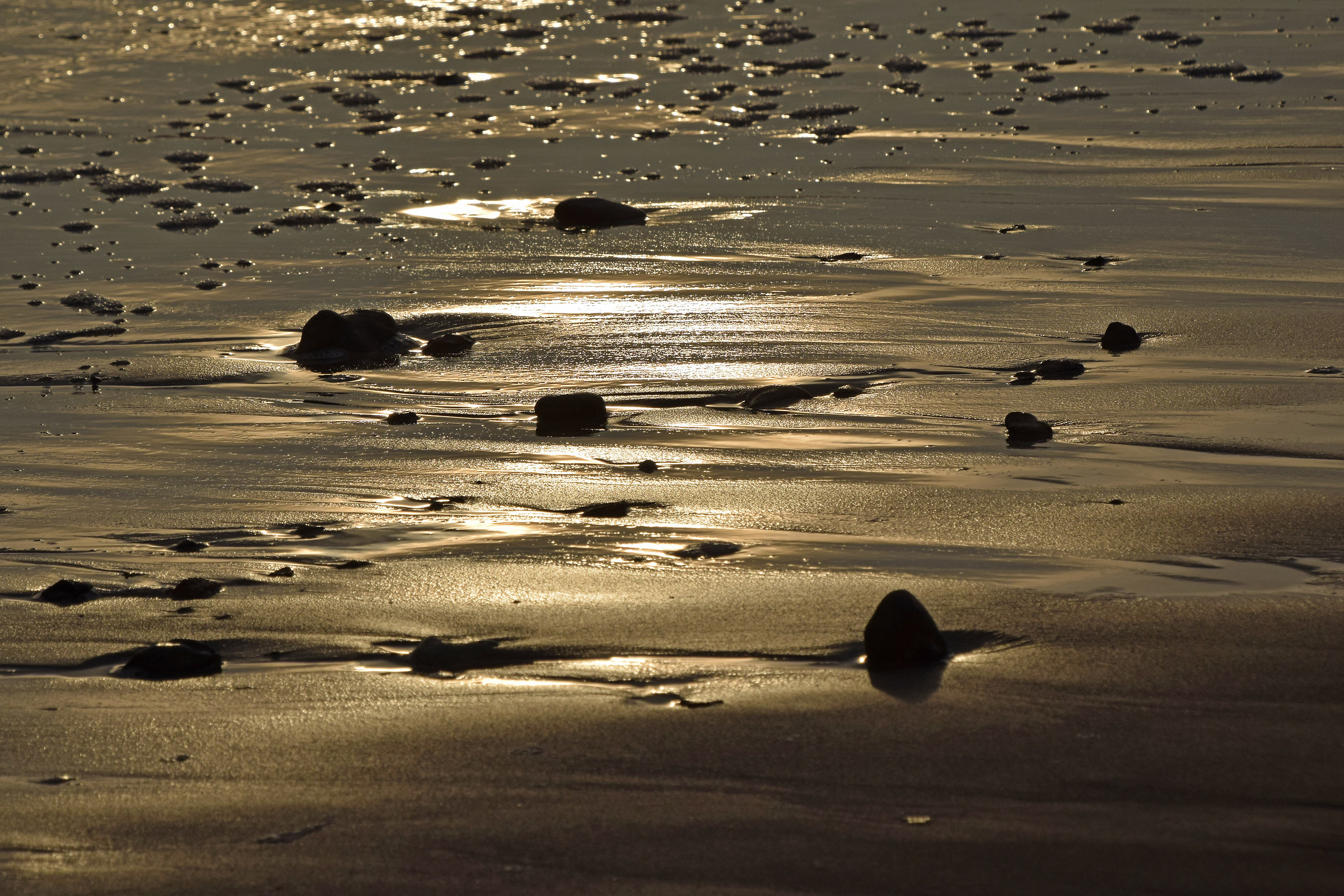 Bronzed Sands...