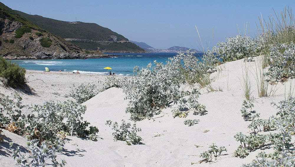 Corsica, beach ostriconi...