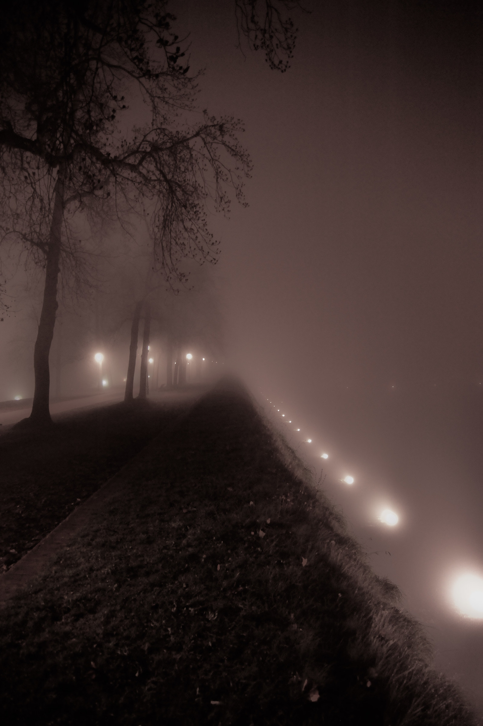 Between the fog...