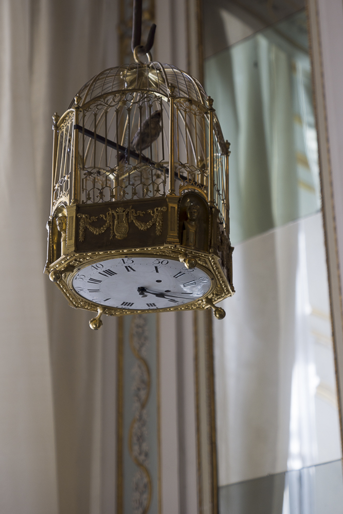 Reggia di Caserta cage...