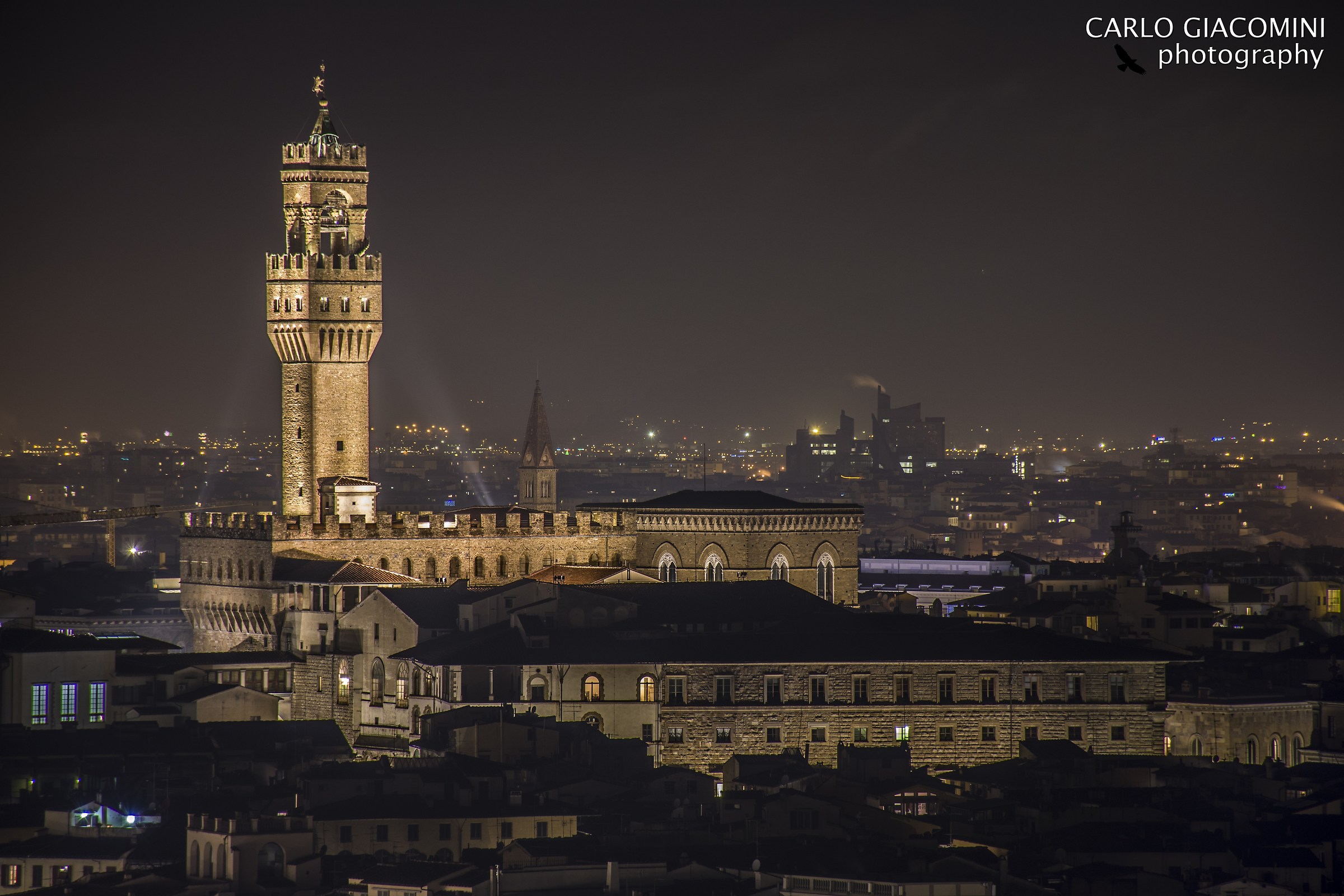 Palazzo Vecchio Firenze da Piazzale Michelangelo...