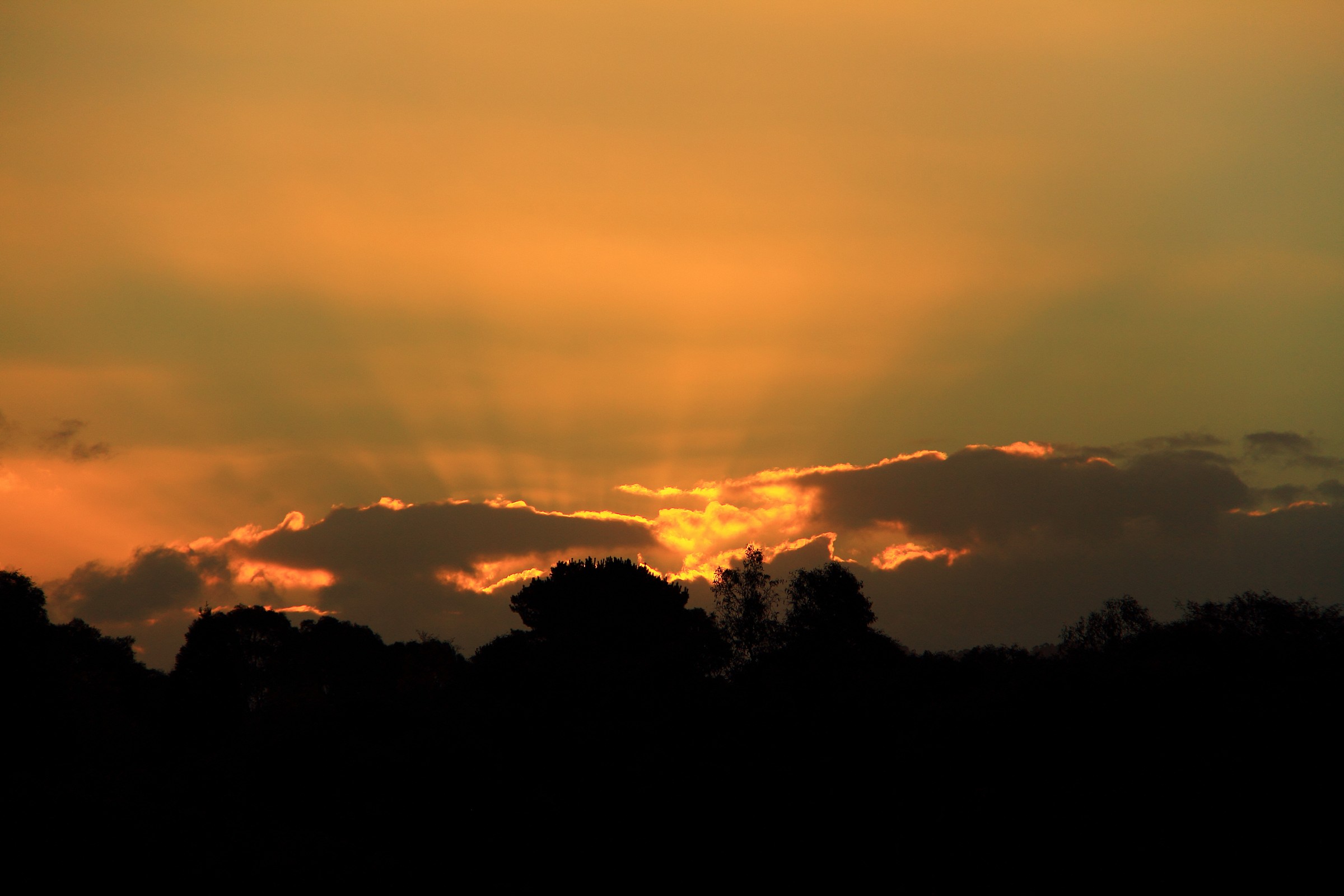 Sunset - Golden Rays...