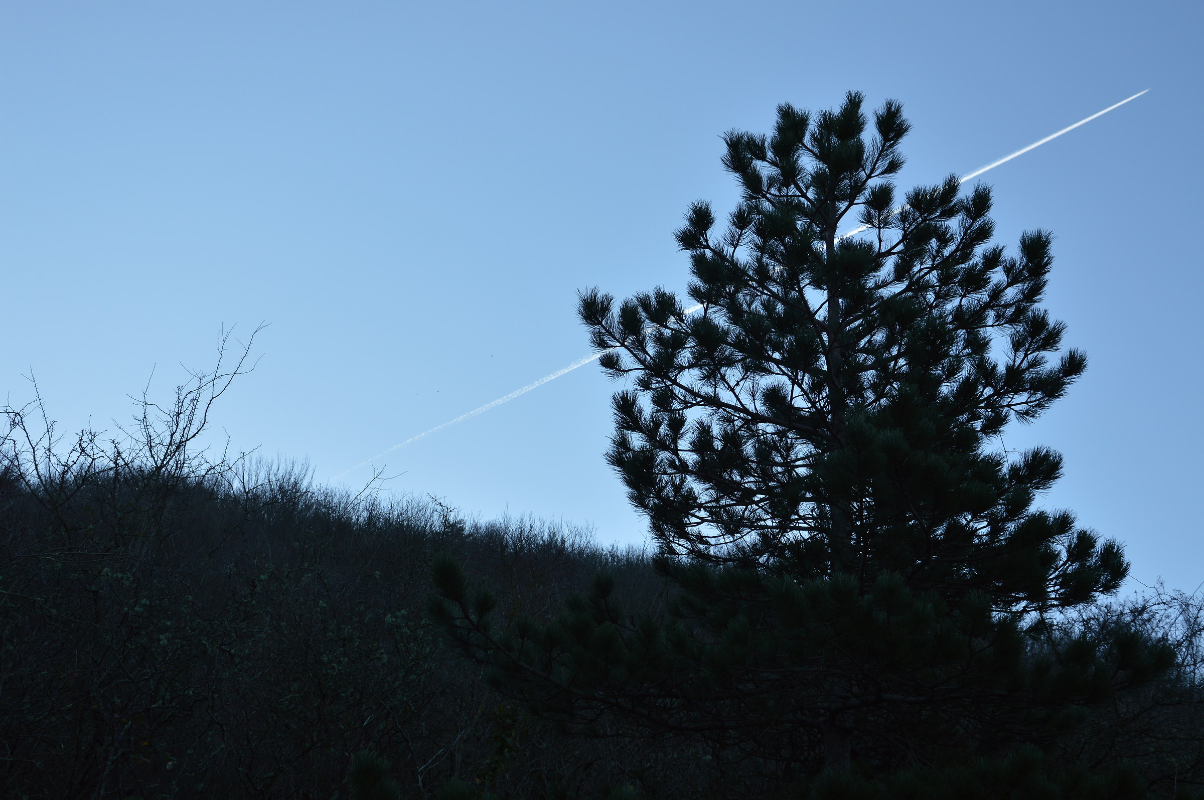 a scia..nel sky...