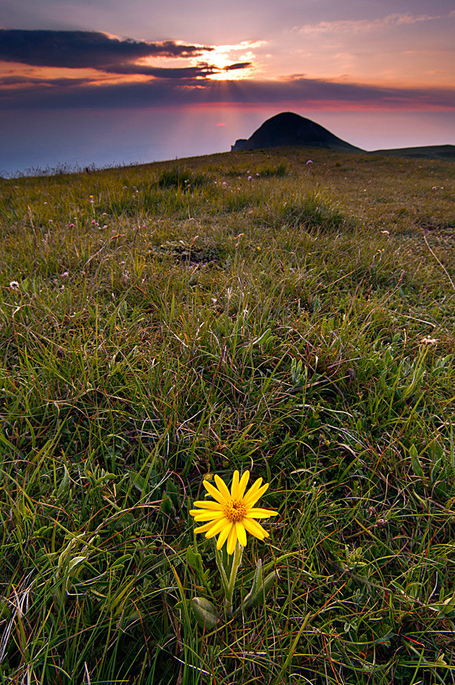 Lonely ........