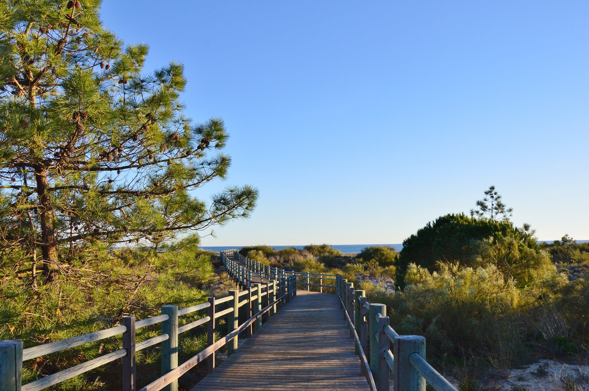 boardwalk over the dunes at the beach of Monte Gordo...