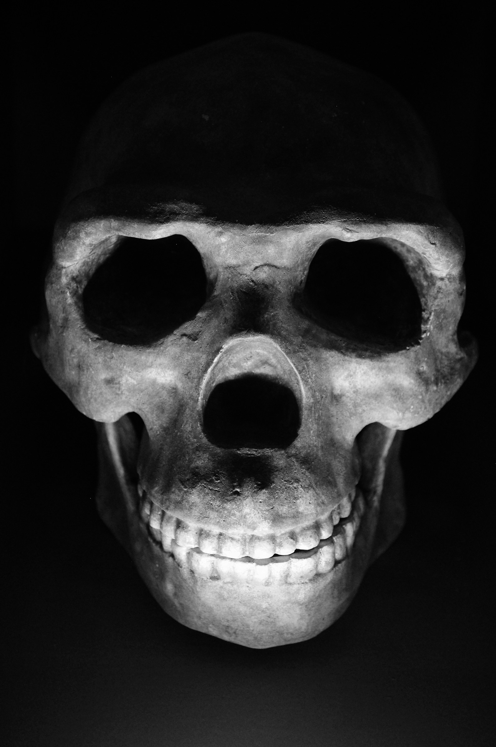 Skull...
