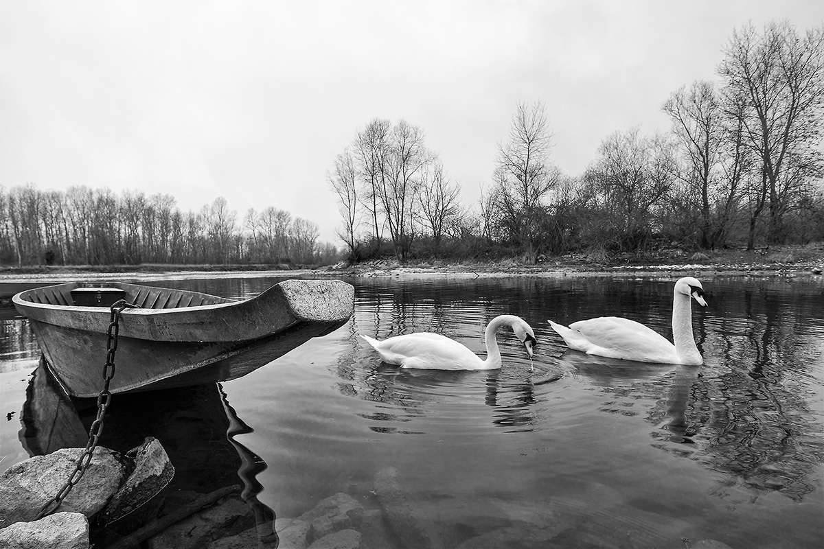 The Guardians of the boat...