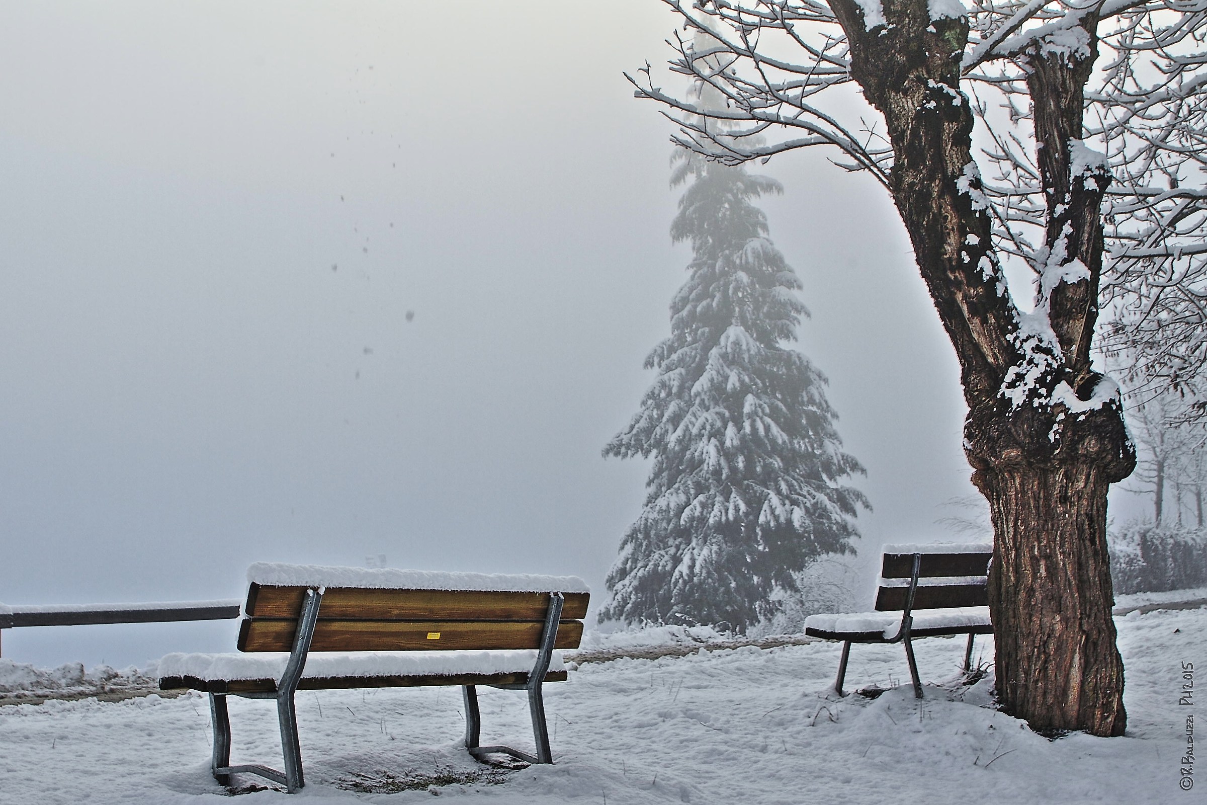 Bench in the snow...
