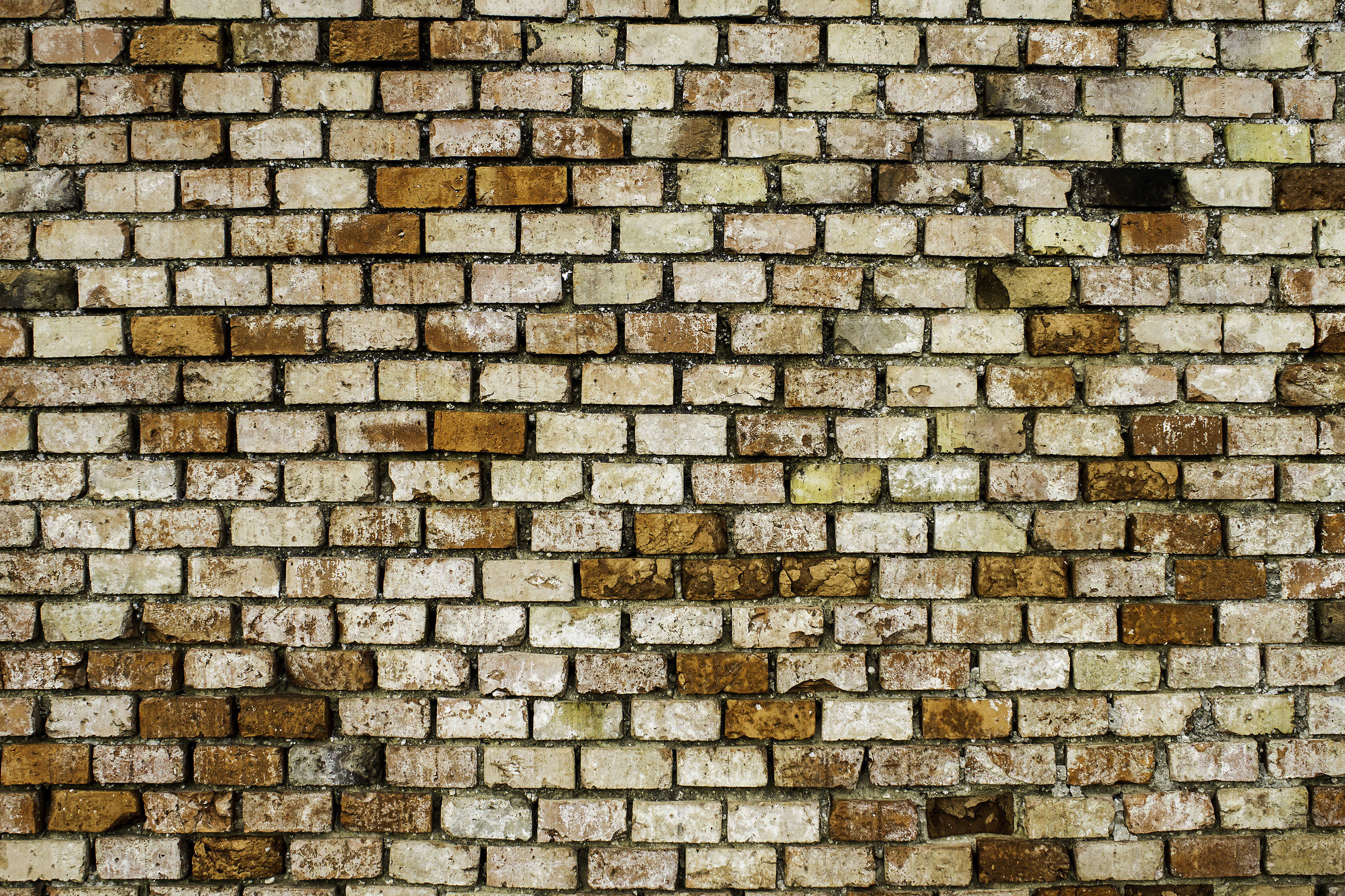Just another brick in the Wall...