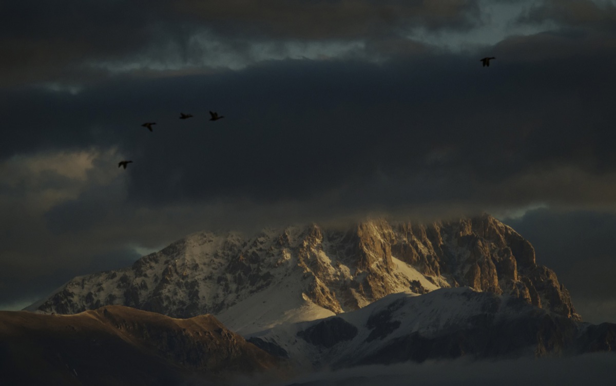 Flight of ducks on the background of the Gran Sasso...