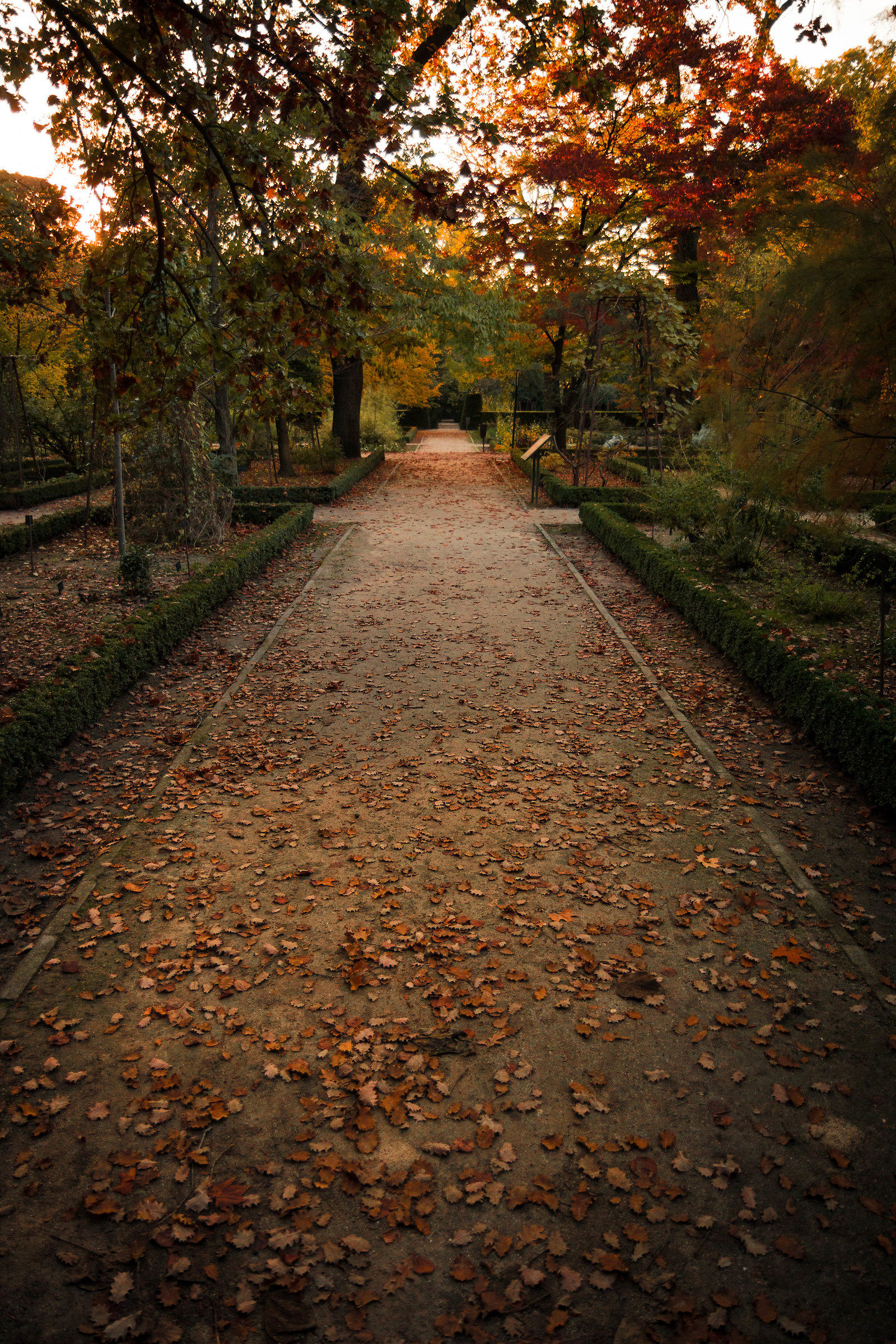 Real Botanic Gardin...