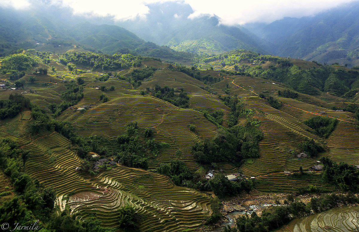 Rice terraces in the mountains Vietnamese...
