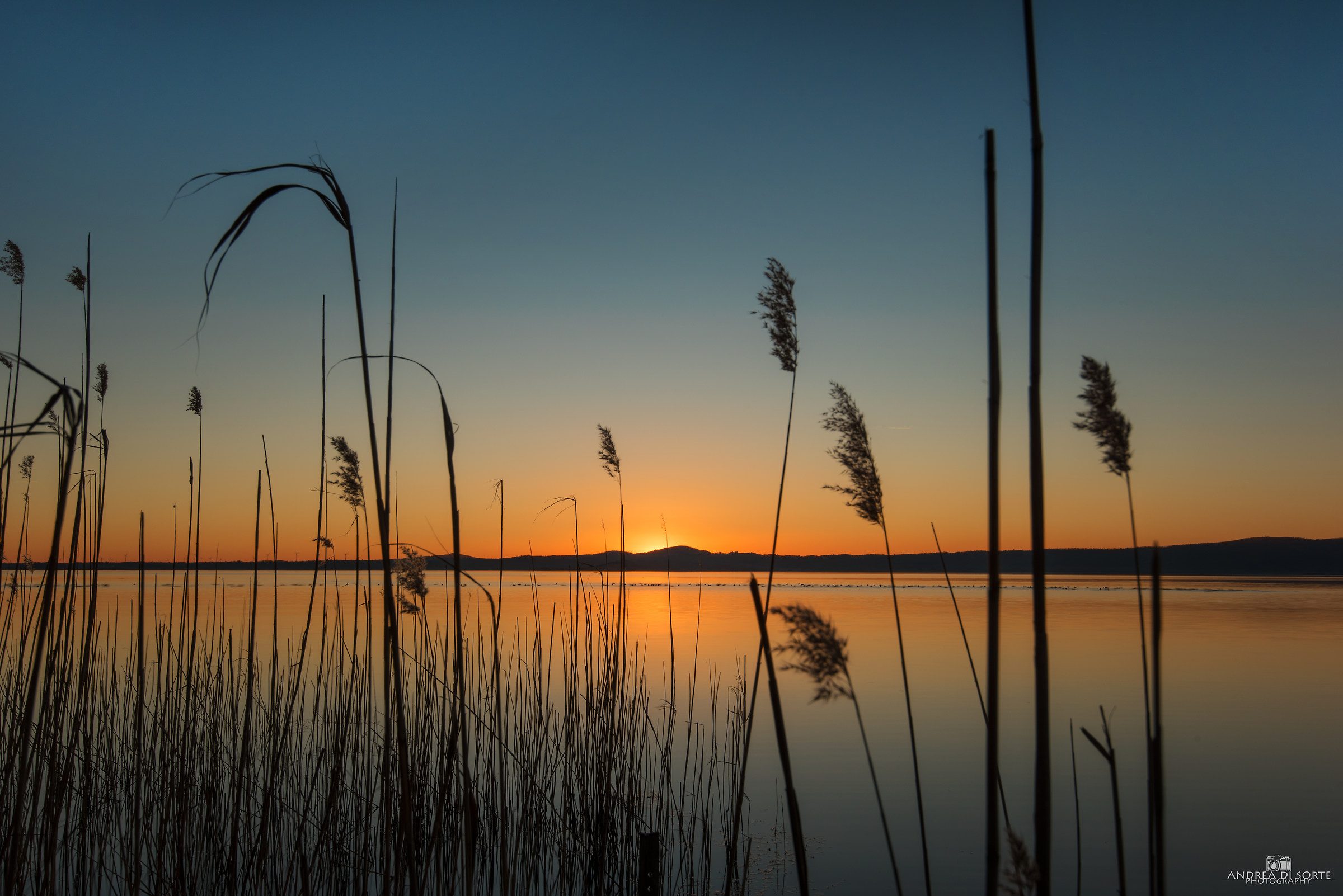 The stillness of the lake...