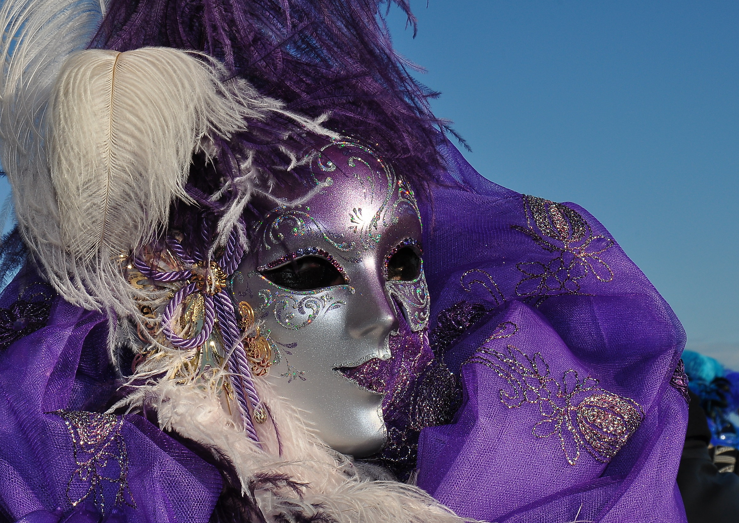 Venice Carnival / 17...