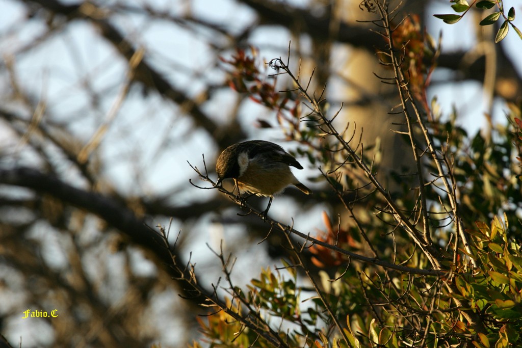 Untitled Photo...
