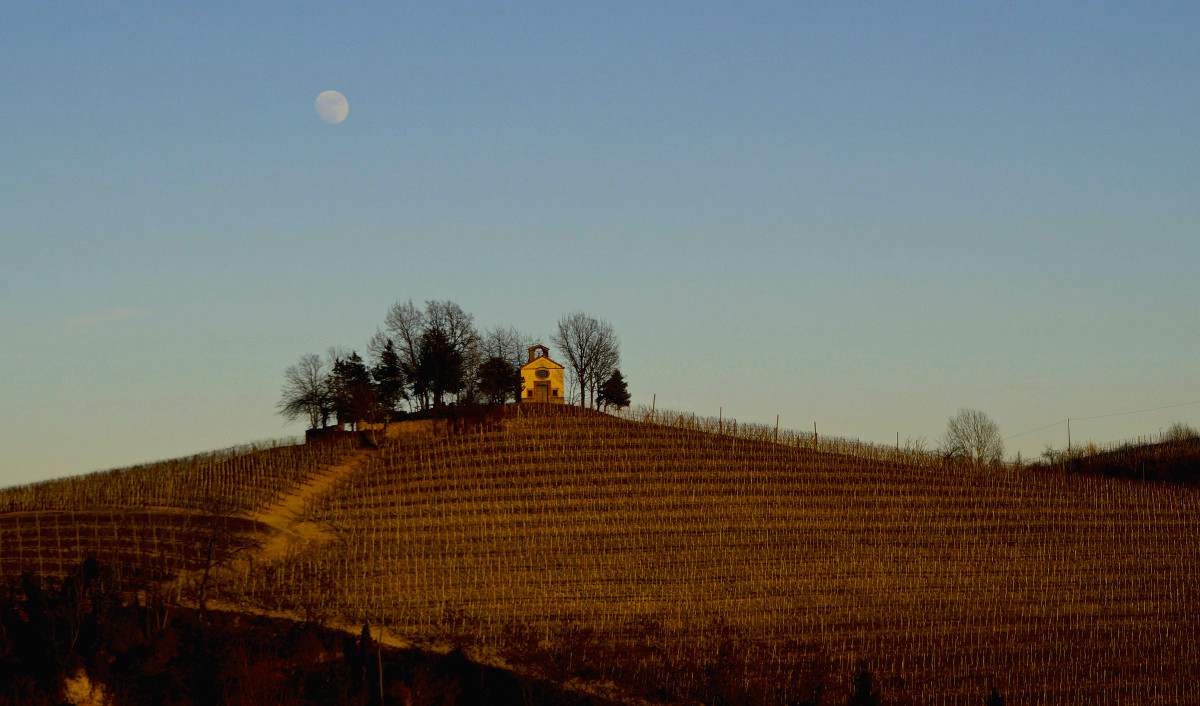 The Chapel in the Vineyard...