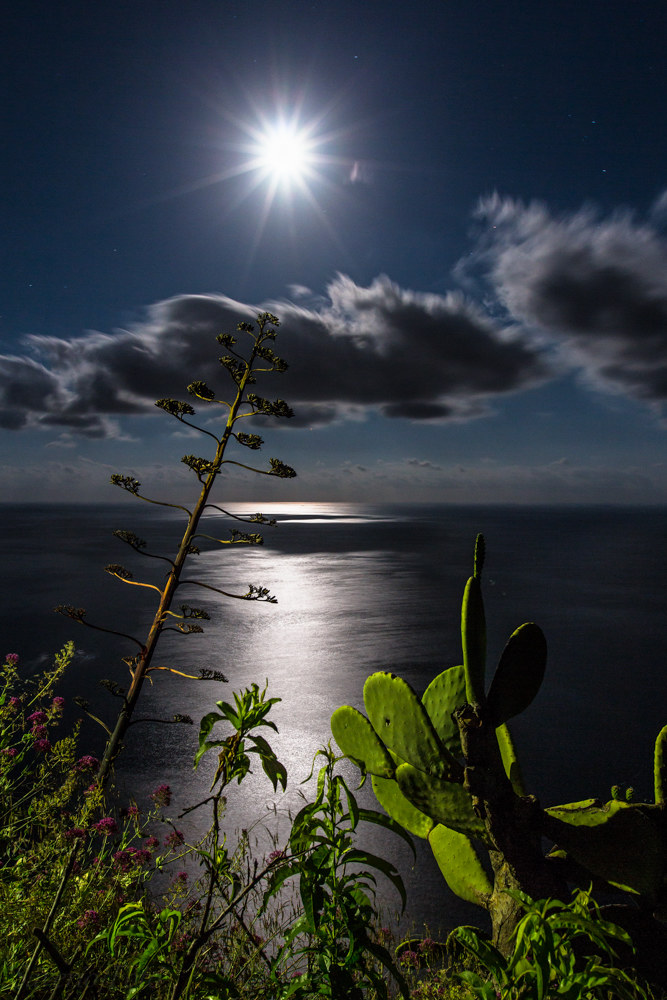 Night in Cinque Terre...