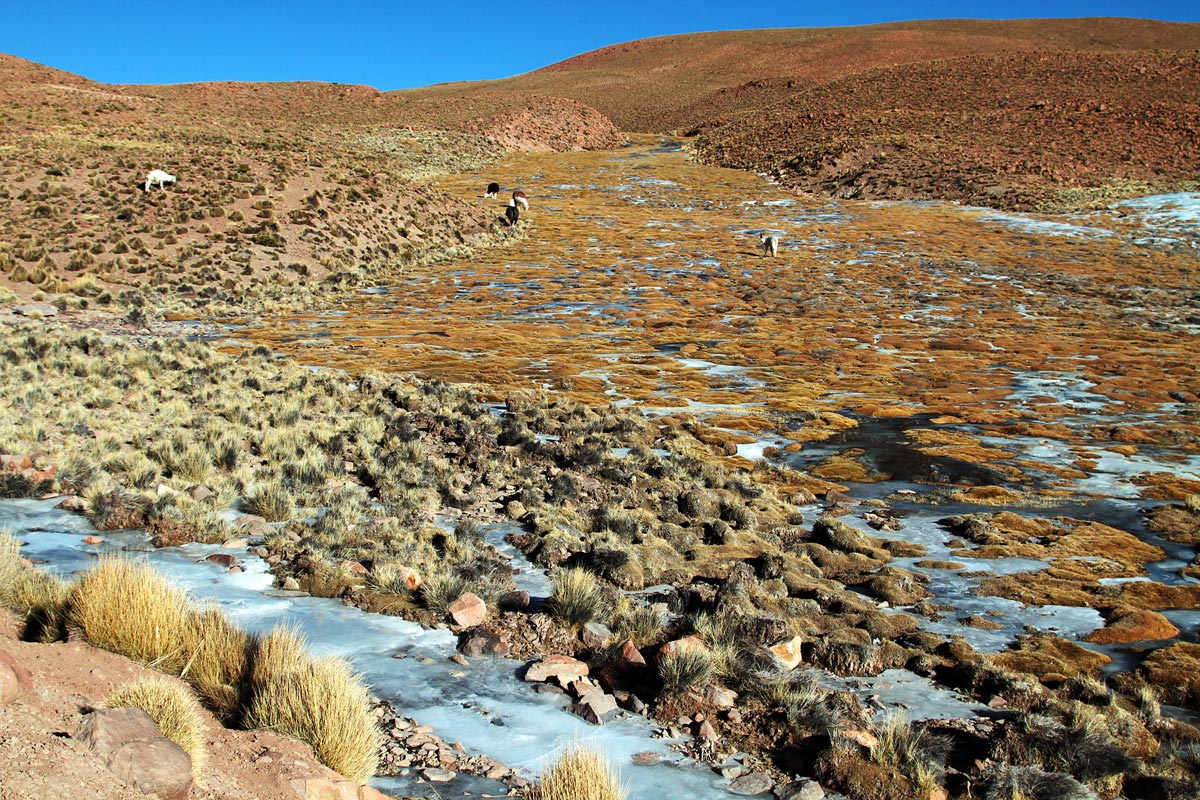 Bolivian Andes 3...