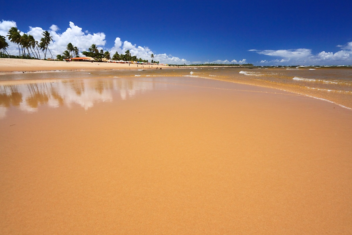 Praia de Buraquinho ( Brasil )...