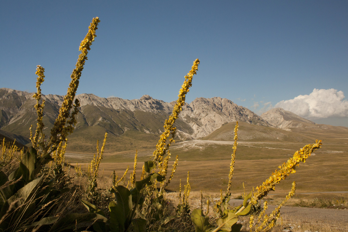 Piana di Campo Imperatore...