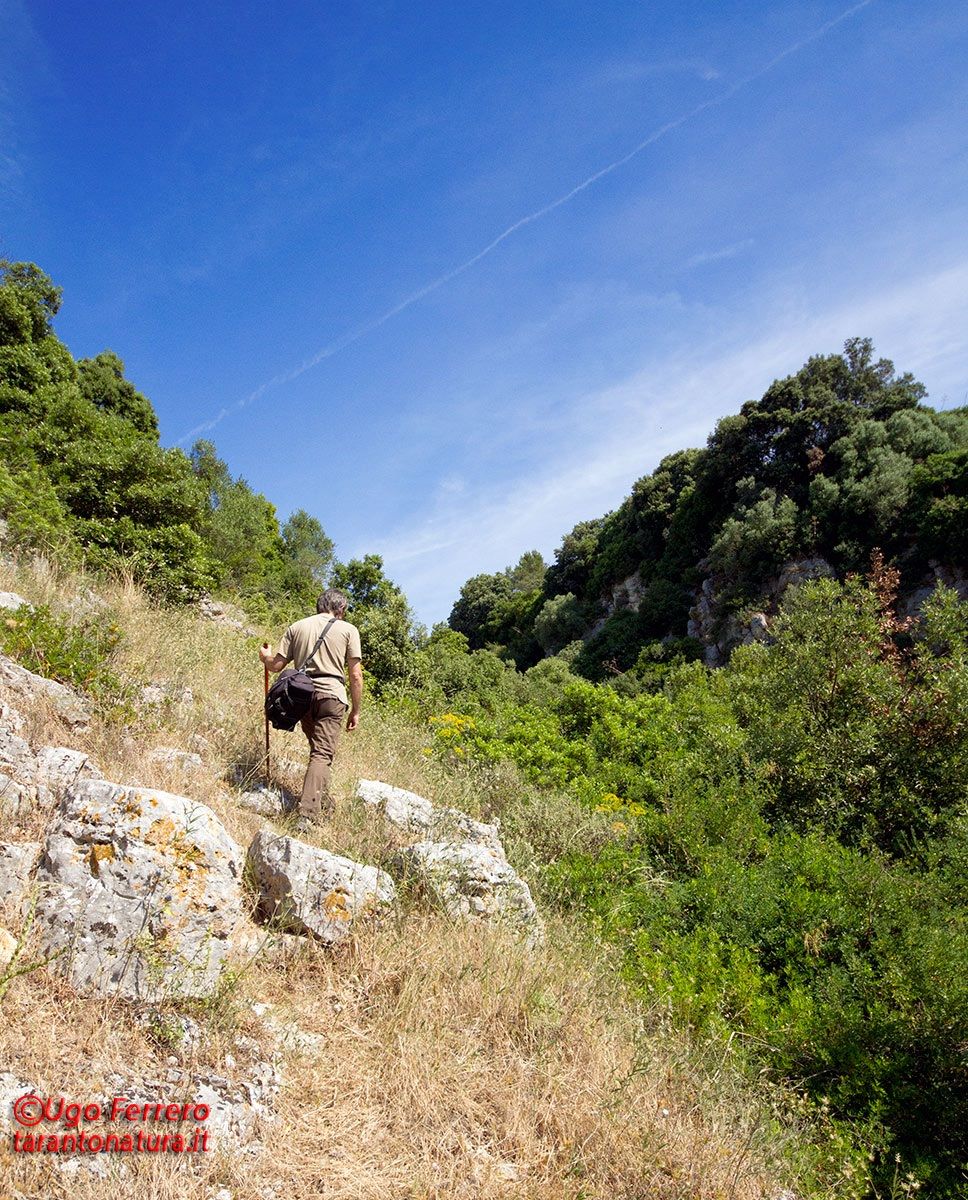 Hike in the Gravina di Castellaneta...