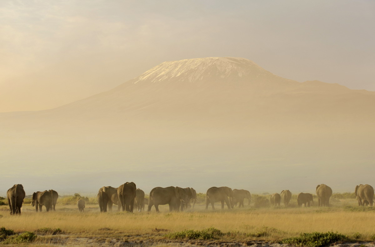 Kilimanjaro - Kenya Amboseli...