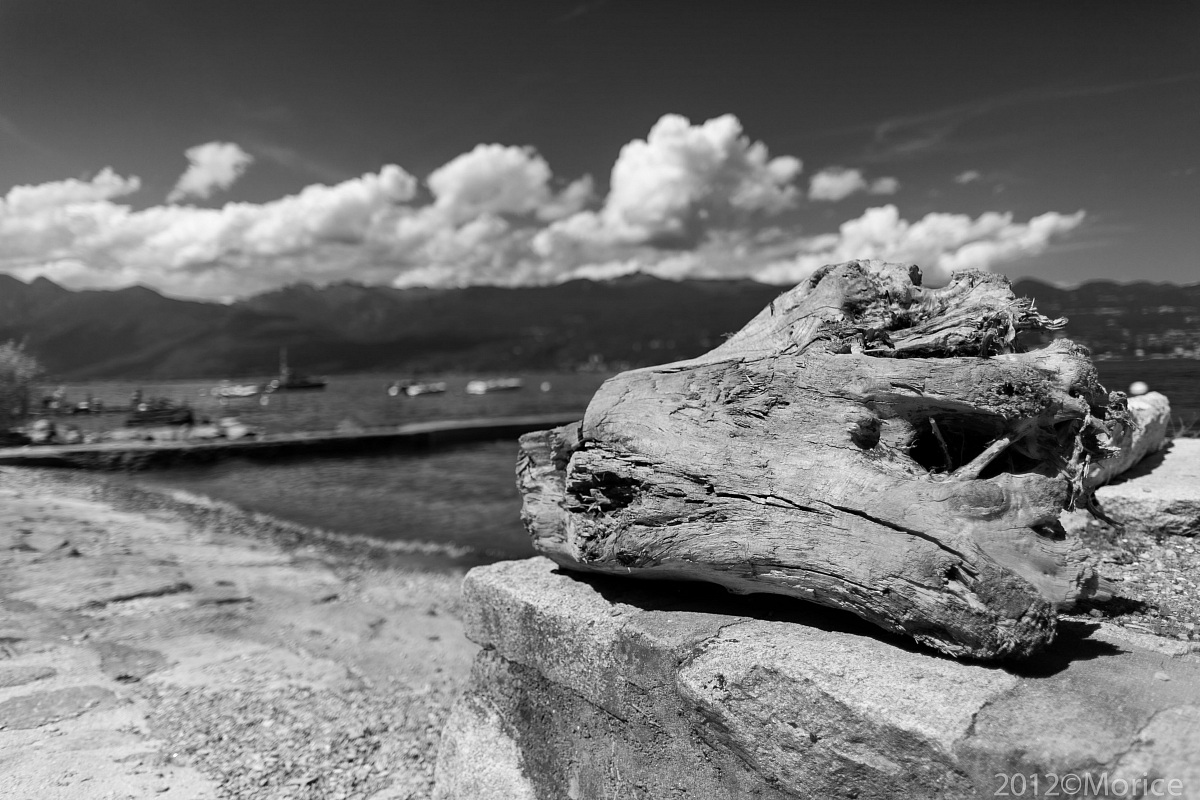 Landscape of Lago Maggiore...