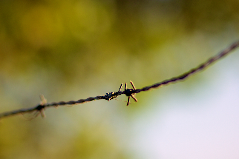 Barbed Wire...
