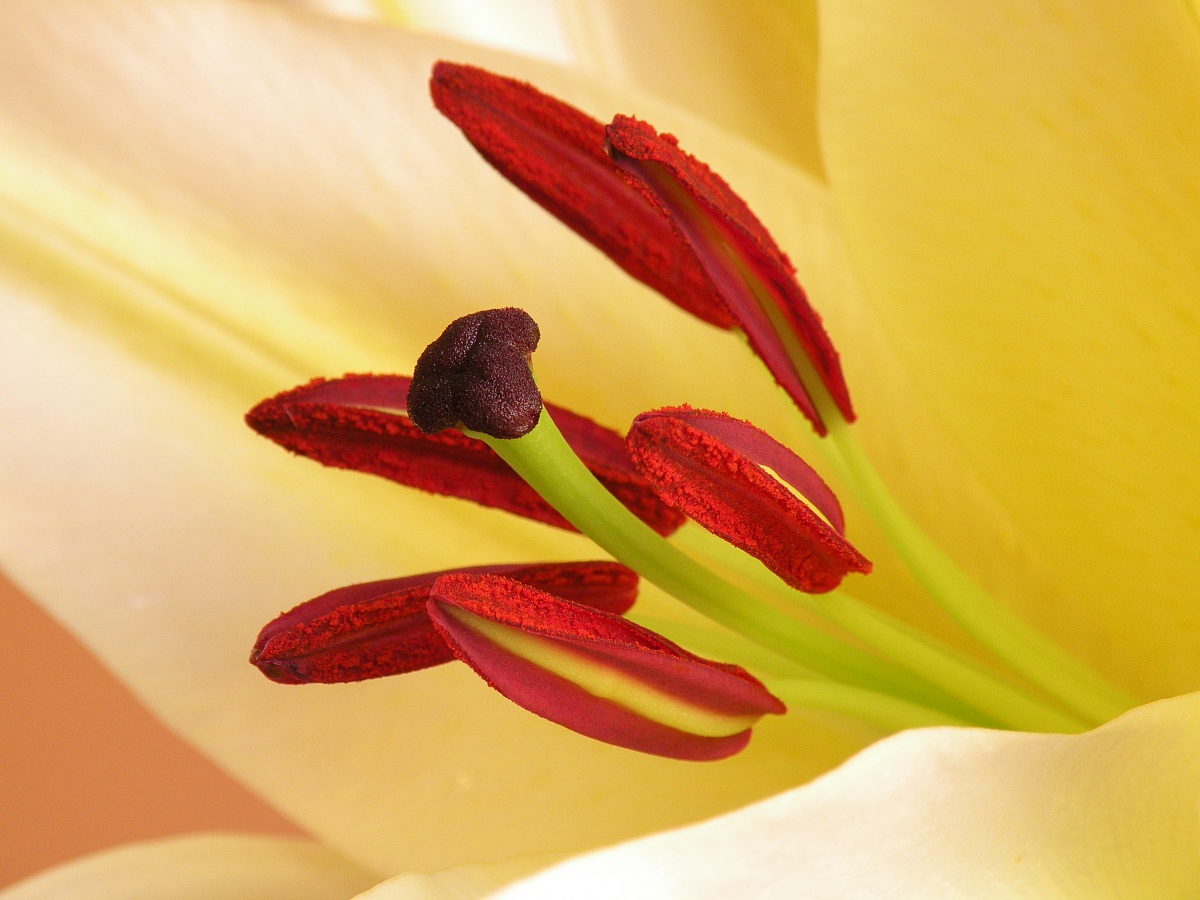Untitled Photo...