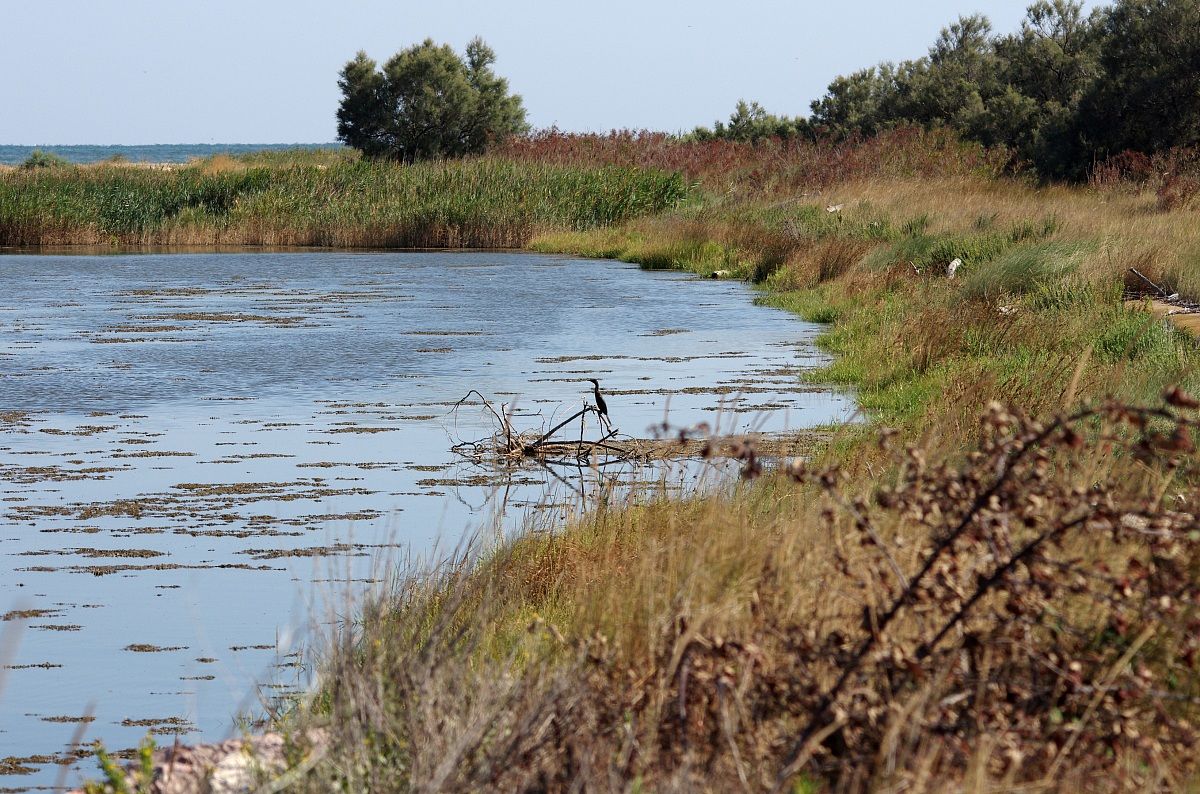 Scorcio vallivo nel Delta del Po...