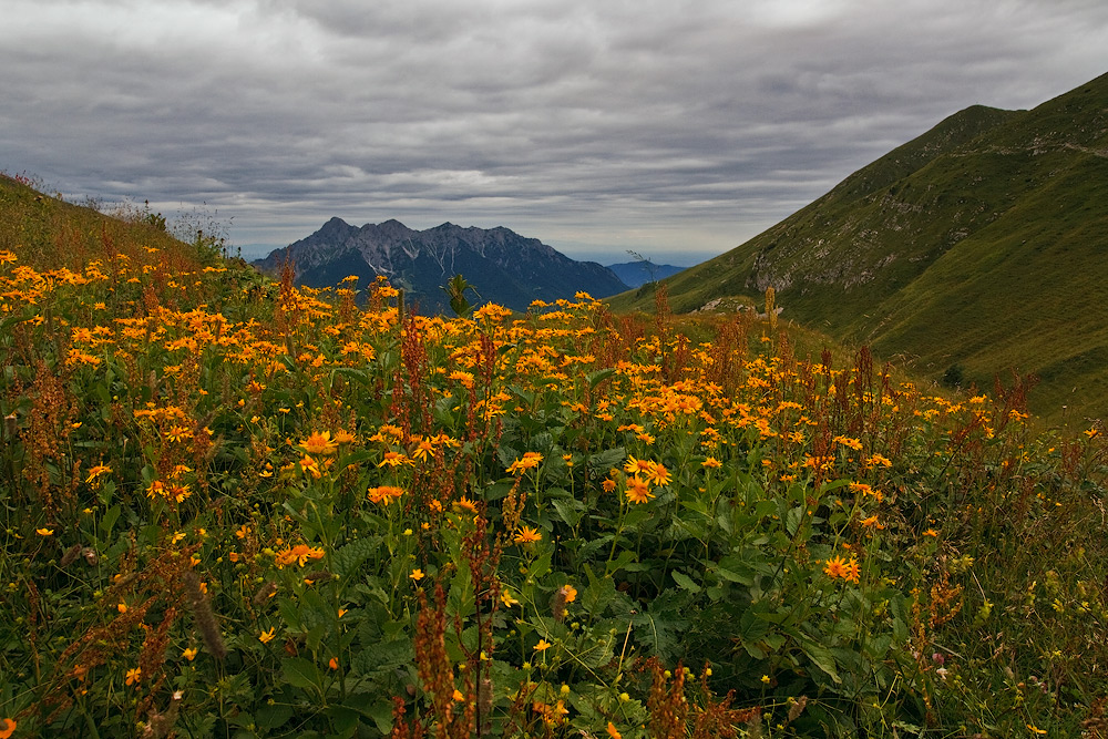 Alben visto dal passo Branchino....