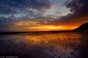 [Photo]