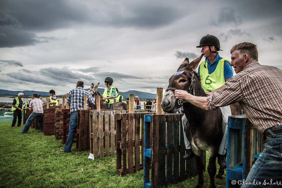 Donkey Derby (Mullaghmore - Ireland)...