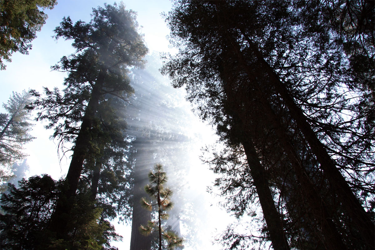 Ray of Light - Yosemite National Park...