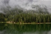 [Photo]