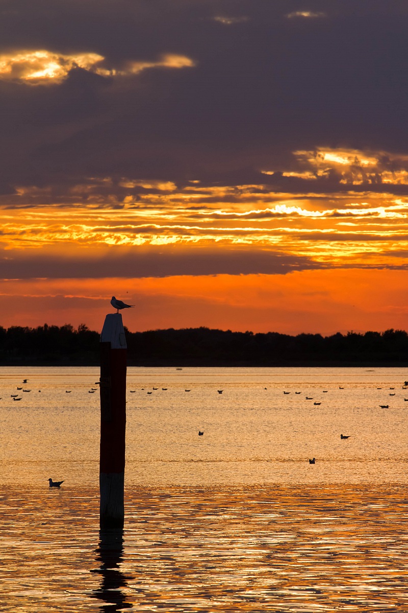Sunset Seagull BB1...