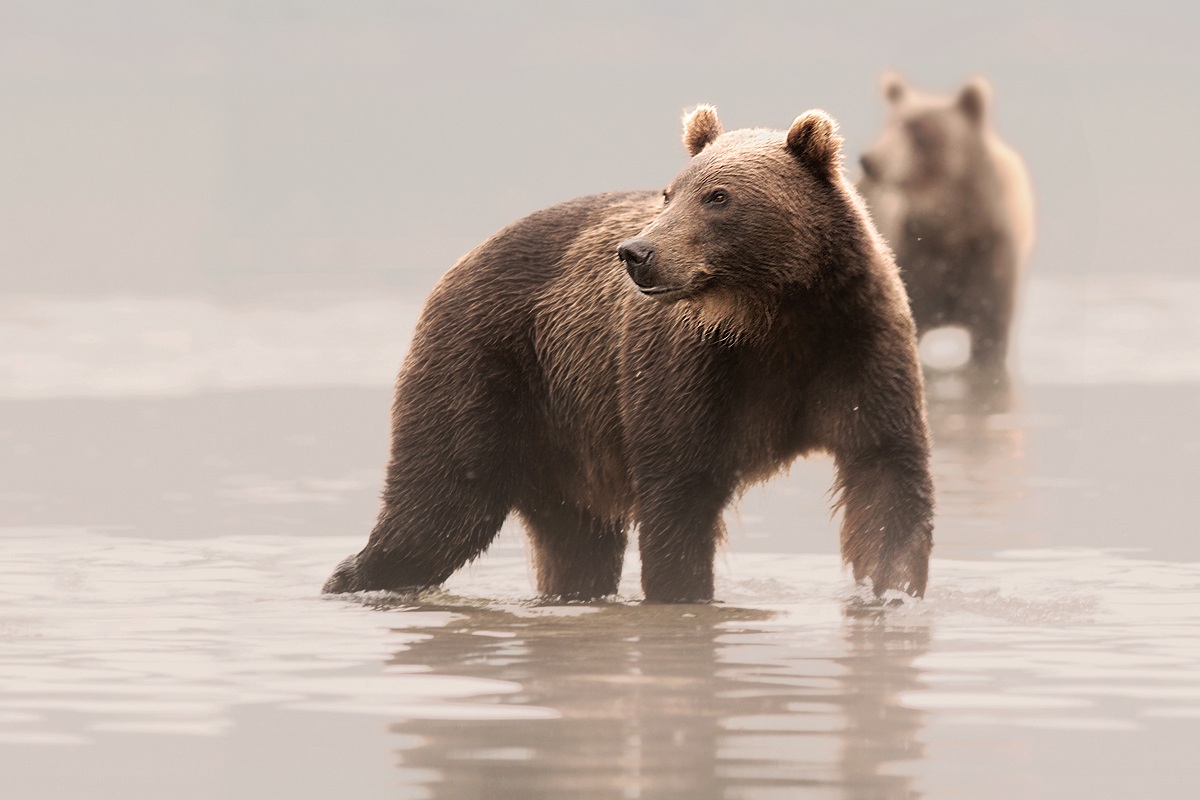 Finalmente la vera Kamchatka !!!...