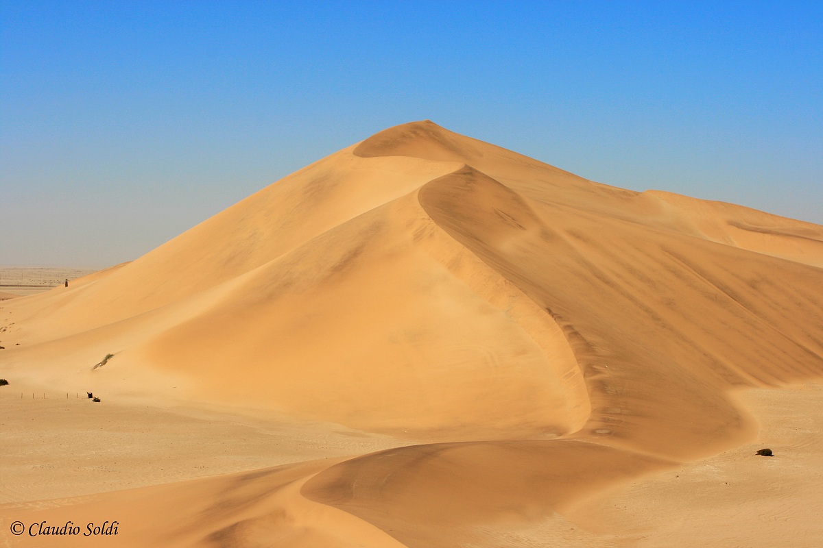 Dune 7...